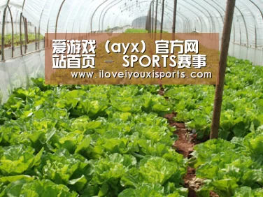 种植基地五