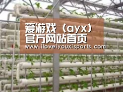 环境展示六