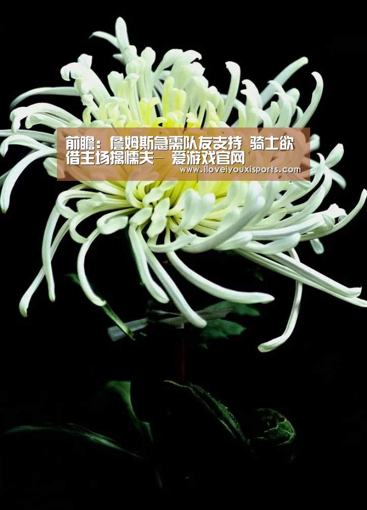  爱游戏官网