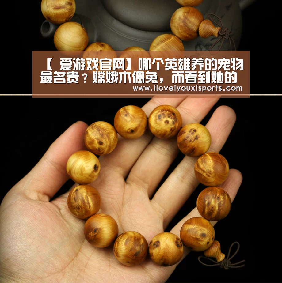 爱游戏体育